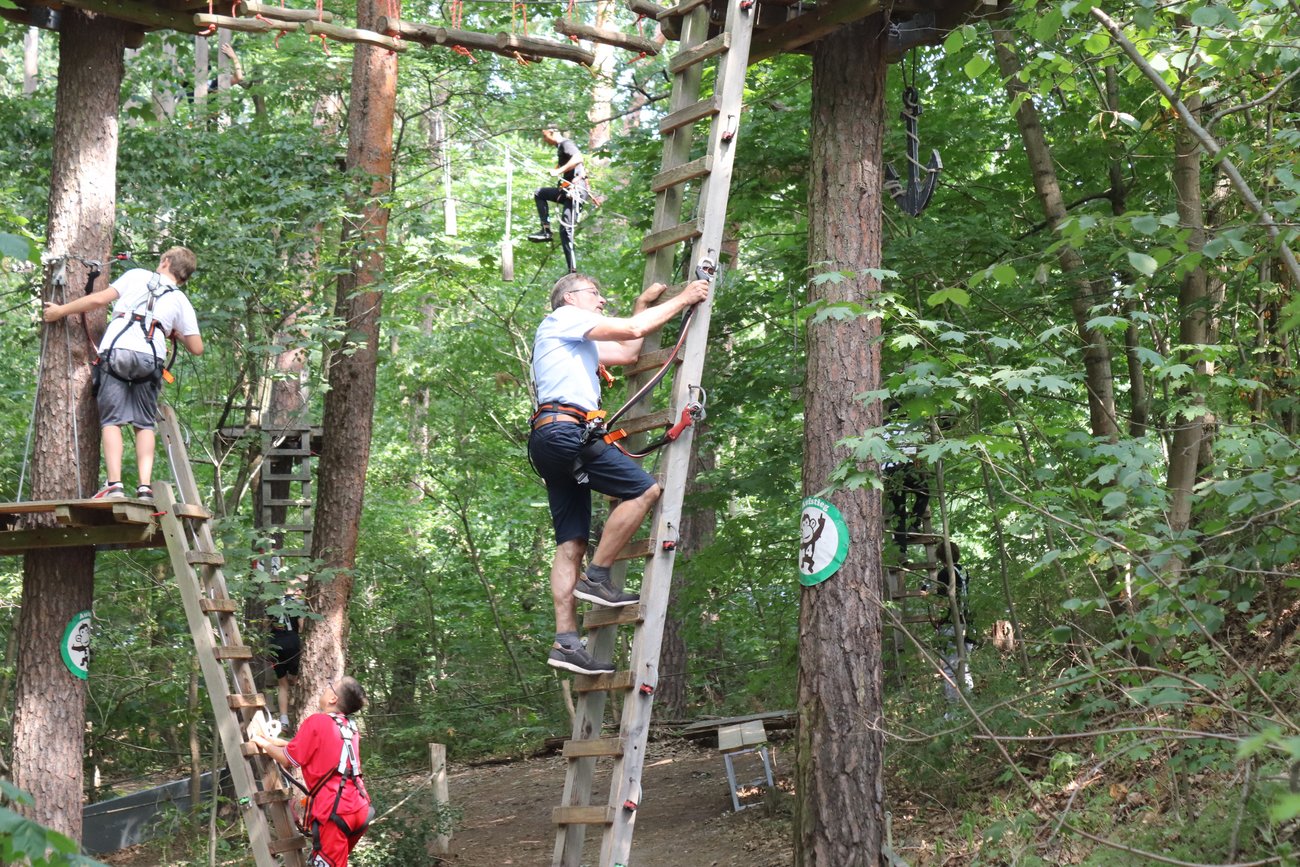 Menschen kletern Leitern hoch, die an Bäumen stehen
