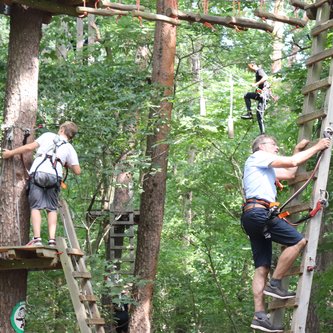 sSchüler klettern im Hochseilgarten auf Leitern hoch